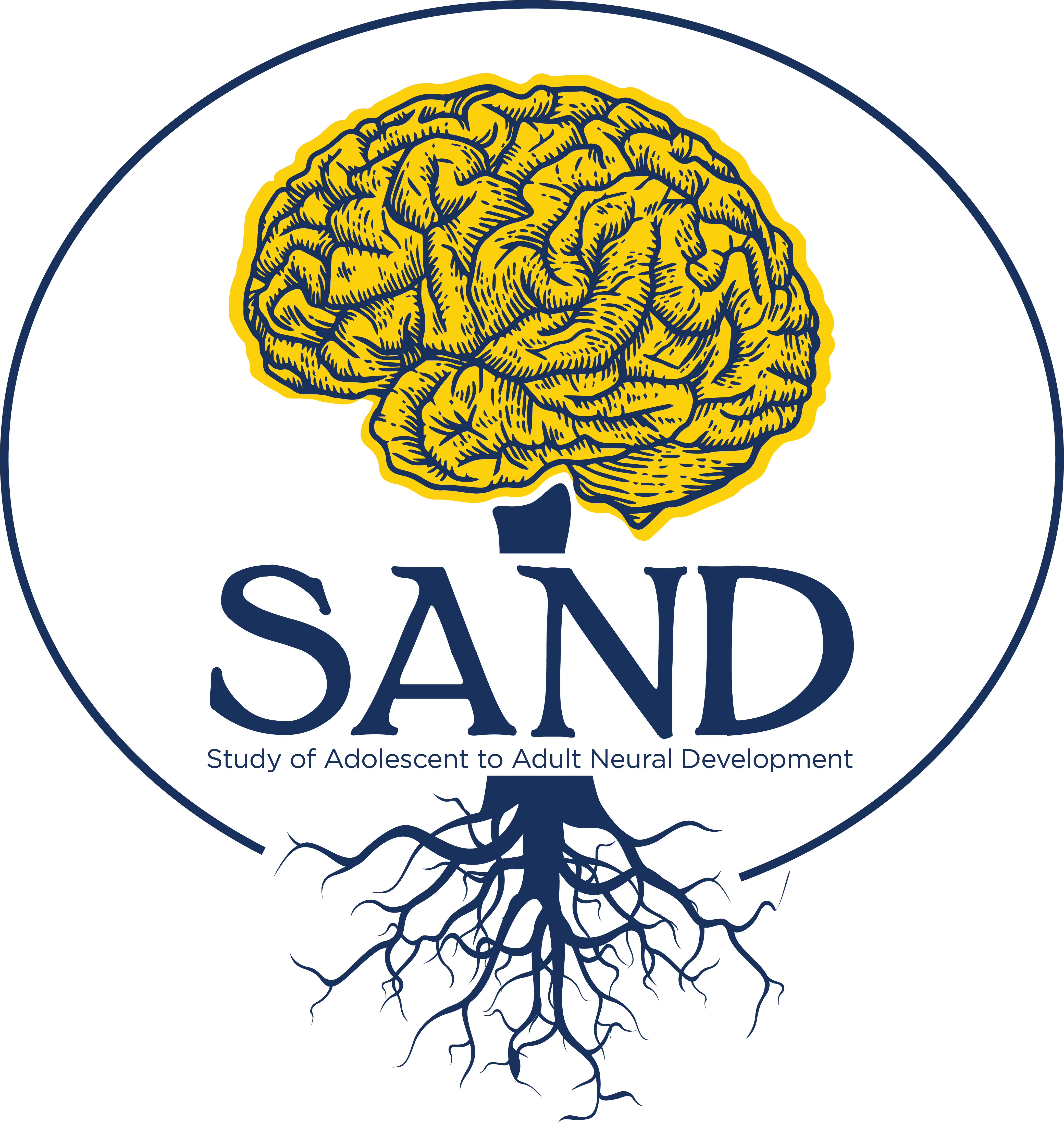 SAND WITH ROOTS 4A